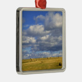 モリル郡ネブラスカ州アメリカ合衆国黄金の干し草 メタルオーナメント (右)