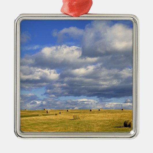 モリル郡ネブラスカ州アメリカ合衆国黄金の干し草 メタルオーナメント (正面)