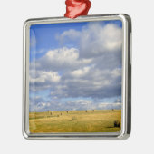 モリル郡ネブラスカ州アメリカ合衆国黄金の干し草 メタルオーナメント (左)