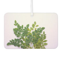 モリン葉ガ文字宇宙