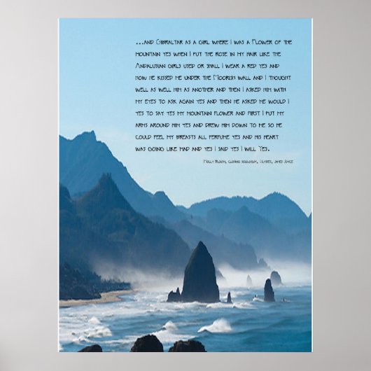 モリーの最後のソリロキー ポスター (正面)