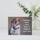 モリースマイル! ポストカード (スタンド正面)