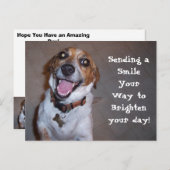 モリースマイル! ポストカード (正面/裏面)