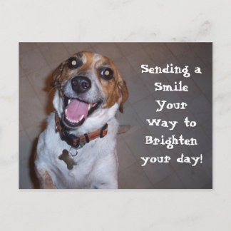 モリースマイル! ポストカード