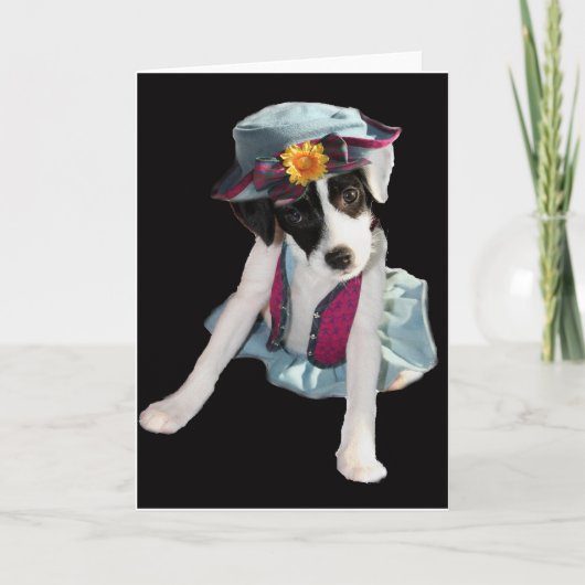 モリー カード (正面)