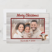 モリー・クリスマス・カウフォト シーズンカード (正面)