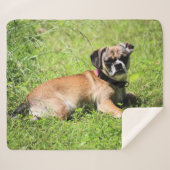 モリー シェルパブランケット (正面(横))