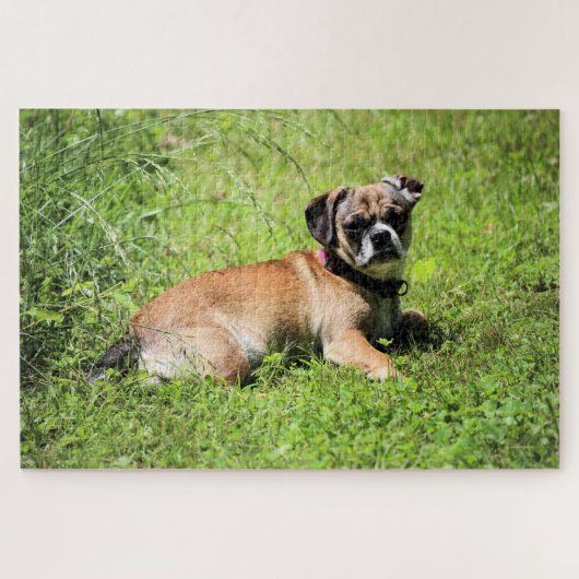 モリー ジグソーパズル (横)