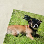 モリー ビーチタオル (インサイチュ)