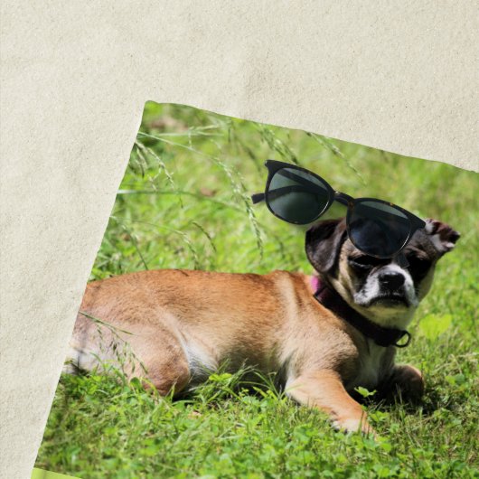 モリー ビーチタオル (インサイチュ)