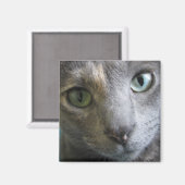 モリー マグネット (正面/裏面)