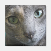 モリー マグネット (正面)