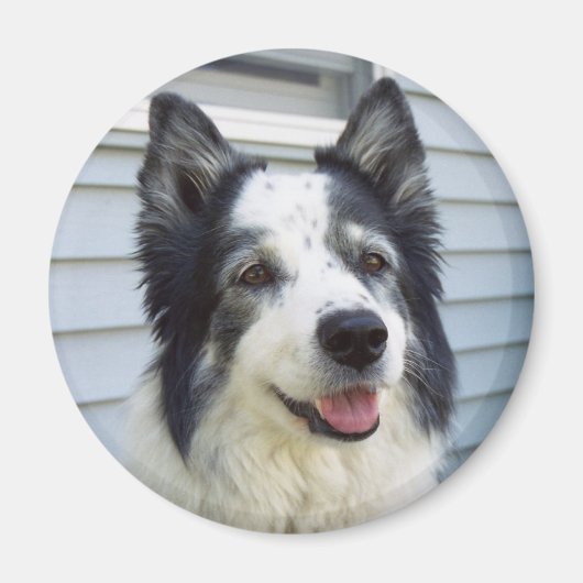 モリー マグネット (正面)