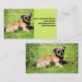 モリー 名刺 (正面/裏面)