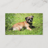 モリー 名刺 (裏面)