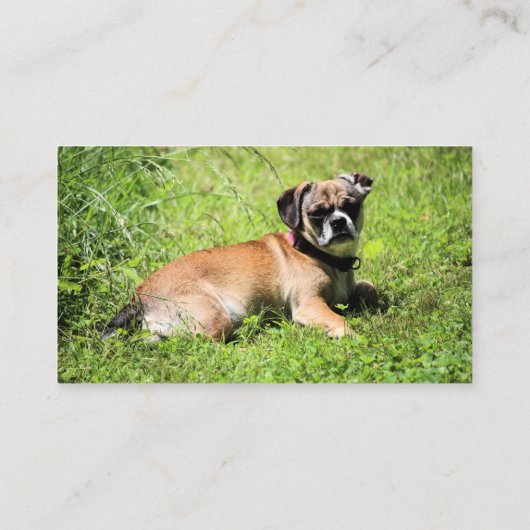 モリー 名刺 (裏面)