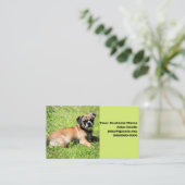 モリー 名刺 (スタンド正面)