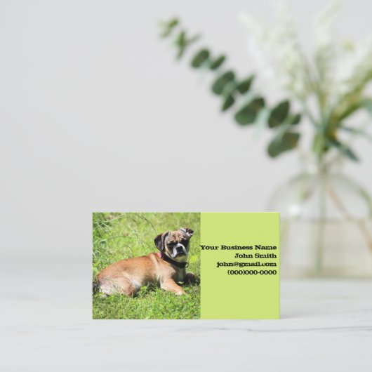 モリー 名刺 (スタンド正面)