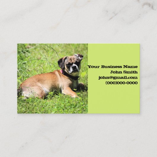 モリー 名刺 (正面)