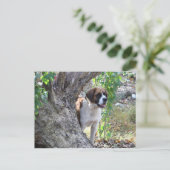 モリー「誰かが遊び時間を言う」 ポストカード (スタンド正面)