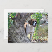 モリー「誰かが遊び時間を言う」 ポストカード (正面/裏面)