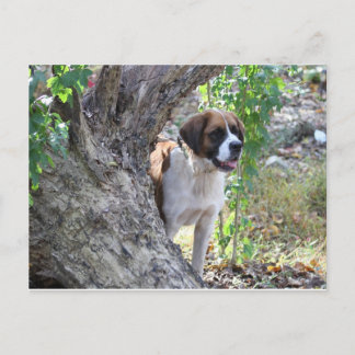 モリー「誰かが遊び時間を言う」 ポストカード