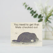 モルおもしろいグリーティングカード、動物誕生日ユーモア ポストカード (スタンド正面)