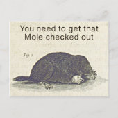 モルおもしろいグリーティングカード、動物誕生日ユーモア ポストカード (正面)