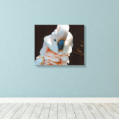 モルカンコカトゥーカンバス キャンバスプリント (インサイチュ (ウッドフロア))