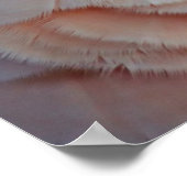 モルカンコカトゥー ポスター (角)