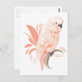 モルカンコカトゥー ポストカード (正面/裏面)