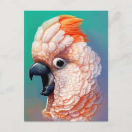 モルカン絵画コカトゥー現実的 ポストカード