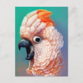 モルカン絵画コカトゥー現実的 ポストカード (正面)