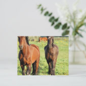 モルガンズのはがき1着 ポストカード (スタンド正面)