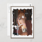 モルガン・ホース・ハッピー ポストカード (正面/裏面)