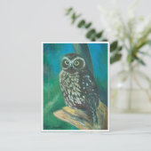 モルクロウのポストカード ポストカード (スタンド正面)