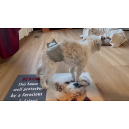 モルシ犬の大きな形式 ドアマット