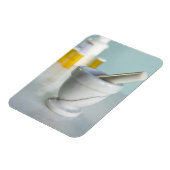 モルタルとピスル、背景にピルボトル マグネット (左側)