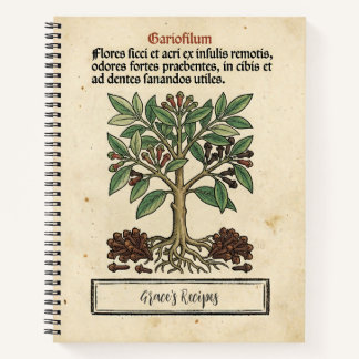 モルッカチョウジの中世植物学レシピ ノートブック
