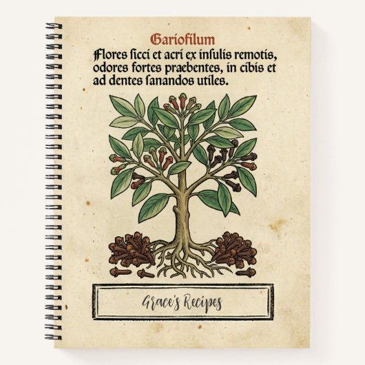 モルッカチョウジの中世植物学レシピ ノートブック (正面)