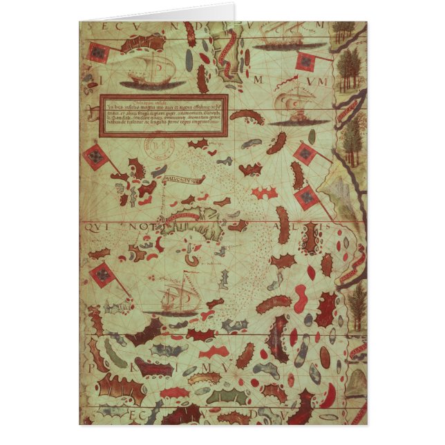 モルッカ諸島 (正面)