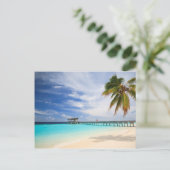 モルディブからの脱出 ポストカード (スタンド正面)