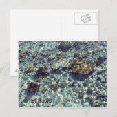 モルディブのビーチの郵便はがき ポストカード (正面/裏面)