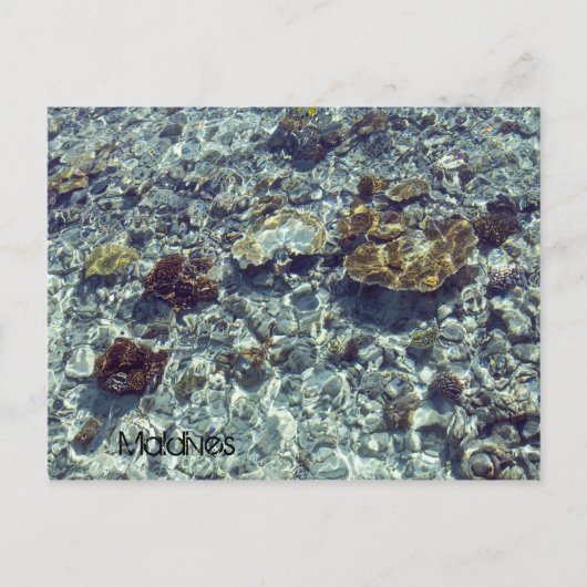 モルディブのビーチの郵便はがき ポストカード (正面)