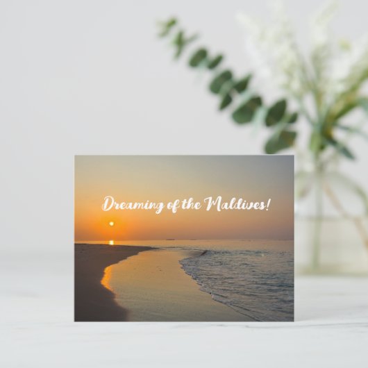 モルディブの夢を！ ポストカード (スタンド正面)