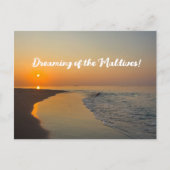 モルディブの夢を！ ポストカード (正面)