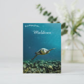 モルディブの近くのカメ ポストカード (スタンド正面)