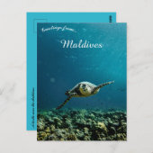 モルディブの近くのカメ ポストカード (正面/裏面)