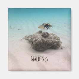 モルディブホワイトサンドラグーンコーラルフィッシュ土産 マグネット