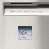 モルディブ海中サンゴ魚土産 マグネット (インサイチュ (食洗機))